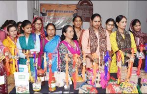 Chamoli dm